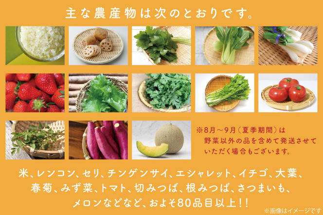 CU-137　【6ヶ月定期便】野菜王国なめがたの旬野菜の定期便（米入り）