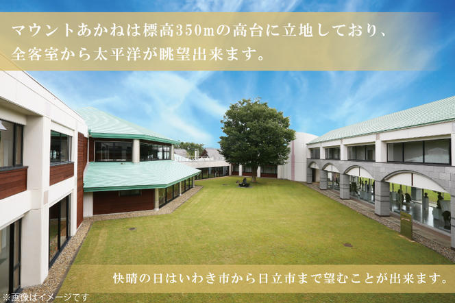 客室から太平洋が一望できる！公共の宿マウントあかね【1名様1泊2食ご宿泊券】★和室8畳　趣膳★(AB101)
