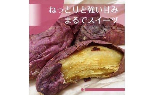 AK001【先行予約】【11月発送】濃厚な甘みさつまいも 紅はるか5kg（茨城県共通返礼品・行方市産）