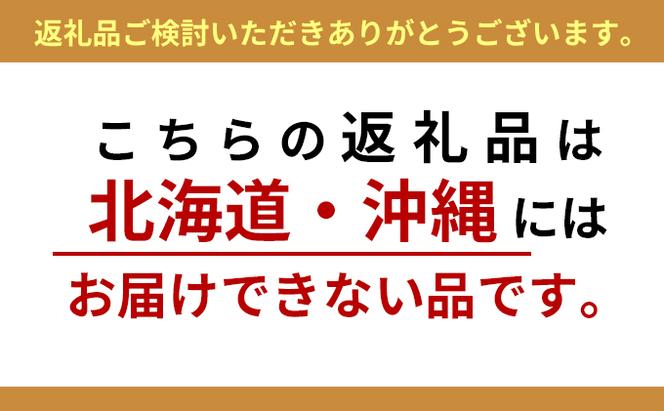 【定期便3ヵ月】大塚製薬　ボディメンテ　ドリンク　500ml×24本