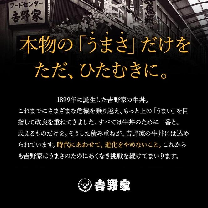 【定期便 ６ヶ月】吉野家 人気５種１０袋セット（冷凍）