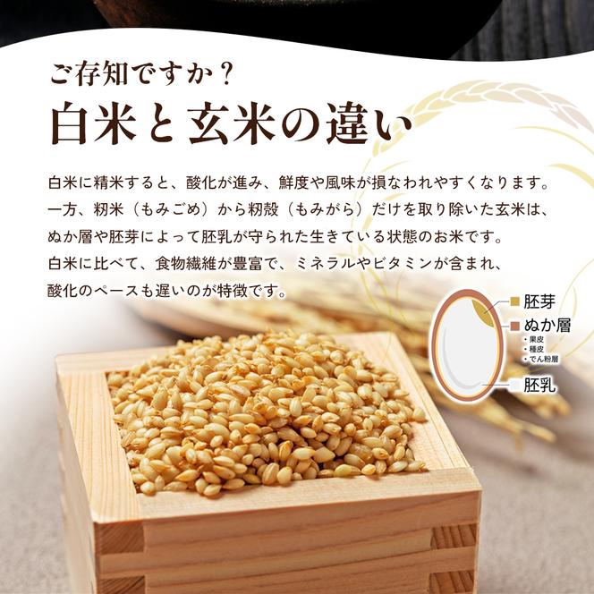 令和6年産 新米「コシヒカリ」30kg（玄米）（香川県東かがわ市