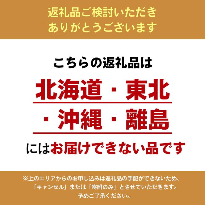 お試し　二コパンの「ベーグル5個詰合せ」