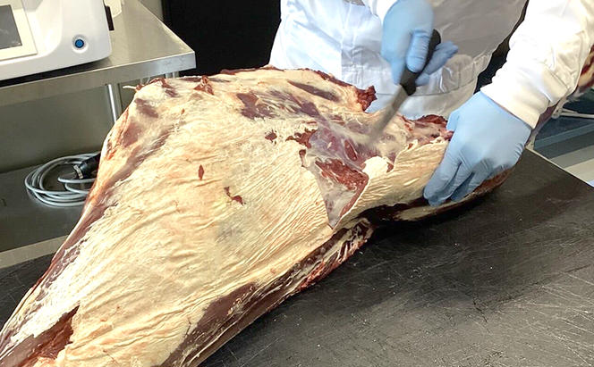 北海道 標茶町産 エゾ 鹿肉 骨付きもも肉 約10kg