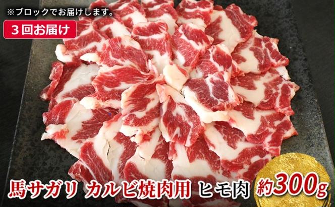 定期便 3ヶ月 馬 サガリ 300g 馬肉 肉 熊本 3回 お楽しみ ※配送不可：離島