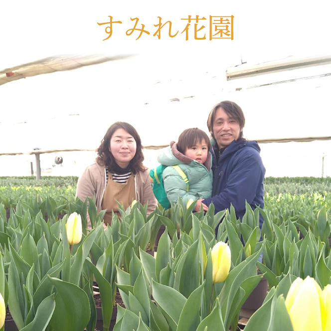 【母の日ギフト】マリーゴールド鉢植え　干し芋のセット｜マリーゴールド ほしいも 干し芋 ほし芋 花 お花 鉢植え 母の日 母の日ギフト ギフト 贈り物 プレゼント 茨城県 行方市(EH-13)