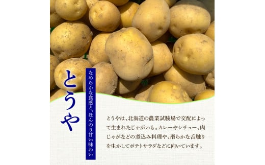 ★先行受付：2024年5月発送開始★大野台地で採れた 令和6年産新じゃがいも『とうや』15kg 訳あり品 15キロ イモ ジャガイモ 芋 いも ポテト 野菜 おいしい なめらか 旬 国産 お取り寄せ 送料無料