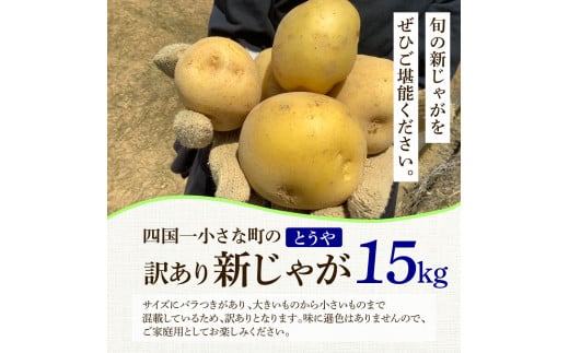 ★先行受付：2024年5月発送開始★大野台地で採れた 令和6年産新じゃがいも『とうや』15kg 訳あり品 15キロ イモ ジャガイモ 芋 いも ポテト 野菜 おいしい なめらか 旬 国産 お取り寄せ 送料無料