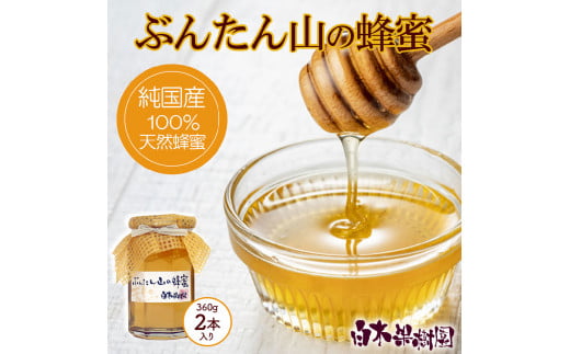 爽やかな香り広がる100%天然蜂蜜 ぶんたん山の蜂蜜　360g 2本入り はちみつ ハチミツ 高知県産 国産 天然はちみつ 土佐 高知 【白木果樹園】