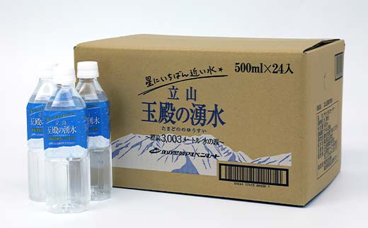 【星にいちばん近い水3003】立山玉殿の湧水 500ml×24本 立山貫光ターミナル 水 2l 2リットル 軟水 ミネラル 湧水 長期保存 備蓄 立山黒部 富山県 立山町 F6T-095