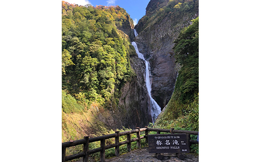 米 富山県立山町産 こしひかり 玄米 10kg×2袋 計20kg 横山ファーム 富山県 立山町 F6T-545