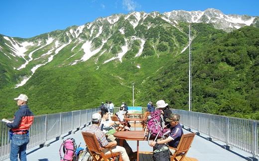 立山黒部アルペンルート ( 立山駅 ～ 扇沢駅 ※片道 ) 優待券 立山黒部貫光 観光 旅行 券 チケット 体験 トラベル 黒部 富山県 立山町 F6T-154