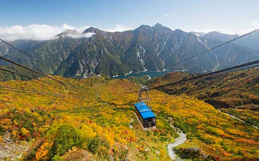 立山黒部アルペンルート ( 立山駅 ～ 黒部湖駅 ※往復 ) 優待券 立山黒部貫光観光 旅行 券 チケット 体験 トラベル 黒部 富山県 立山町 F6T-155