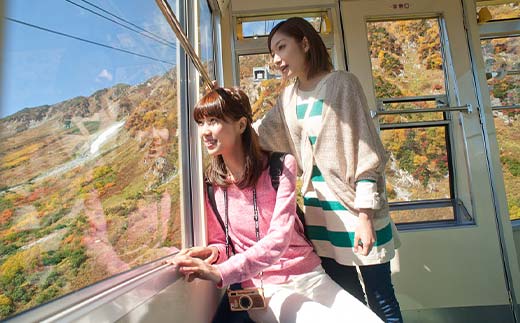 立山黒部アルペンルート ( 立山駅 ～ 黒部湖駅 ※往復 ) 優待券 立山黒部貫光観光 旅行 券 チケット 体験 トラベル 黒部 富山県 立山町 F6T-155