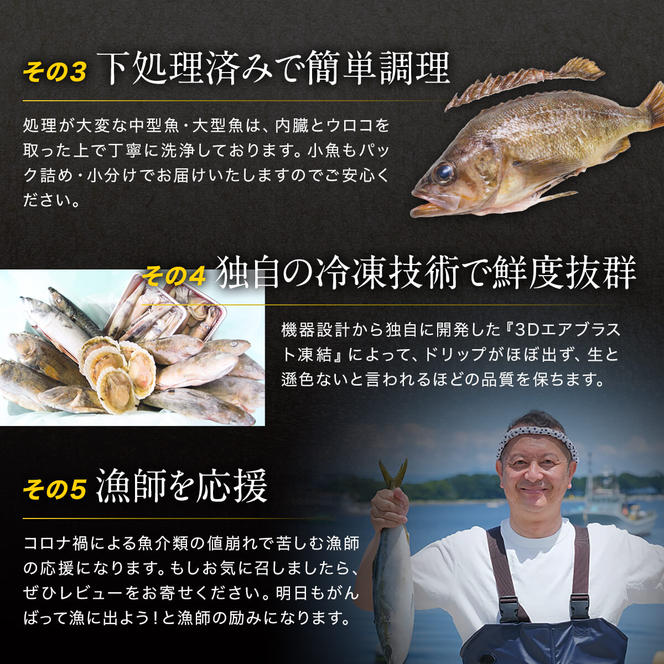 【2024年8月下旬発送】【緊急支援品】北海道 冷凍鮮魚セット 最大4.5kg 「漁師応援プロジェクト！」 下処理済み 4～5種 ホタテが必ず入るおまかせ セット 事業者支援 中国禁輸措置
