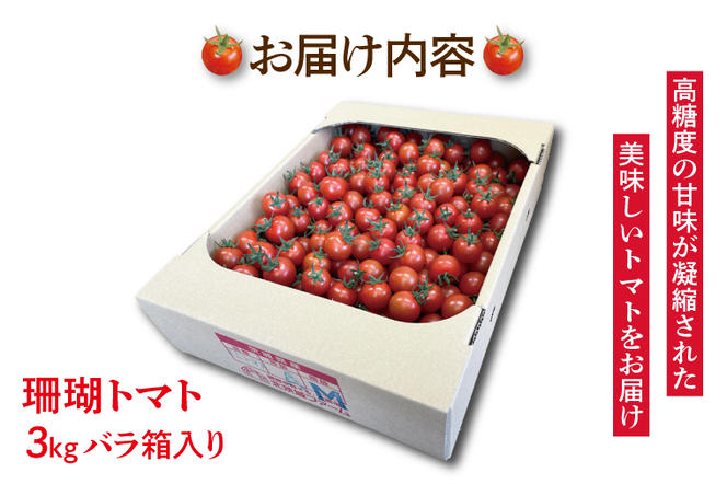 AX001【10月より発送】珊瑚トマト　3kg