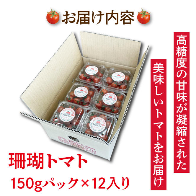 珊瑚トマト　150ｇパック×12入り【野菜 トマト とまと ミニトマト みにとまと フルーツトマト 新鮮 リコピン ビタミン】（AX102）