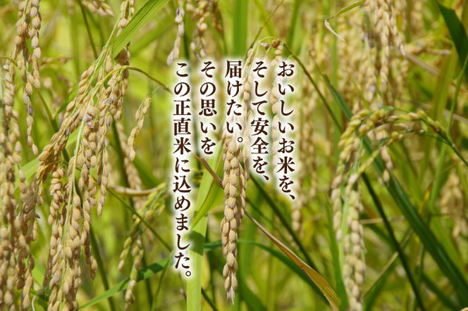 【令和6年産新米】正直米（特秀）2kg 特別栽培米 【おいしい おこめ 米 お米 精米 こしひかり コシヒカリ コンテスト 受賞 五つ星マイスター 特別米 2kg 5kg】(BC001-3)