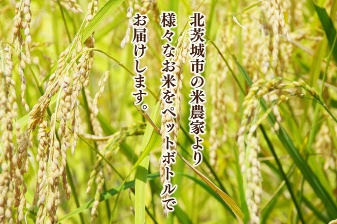 BC007　【先行予約】ペットボトル米の4種食べ比べセット