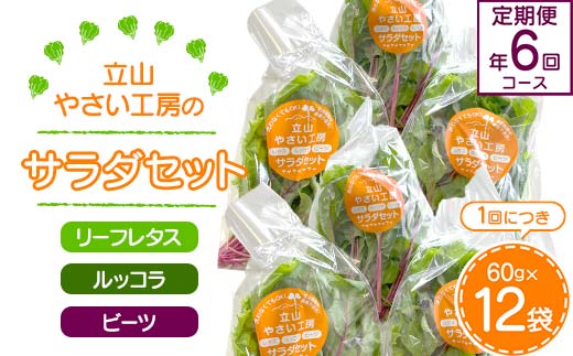 立山やさい工房のサラダセット（60g×12袋）の定期便年6回コース 富山県 立山町 F6T-251