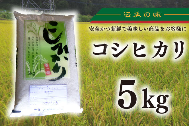 【令和6年産新米】コシヒカリ　5kg【新米　有機栽培　安心　美味しい　おにぎり　12000円以下】(BD102)