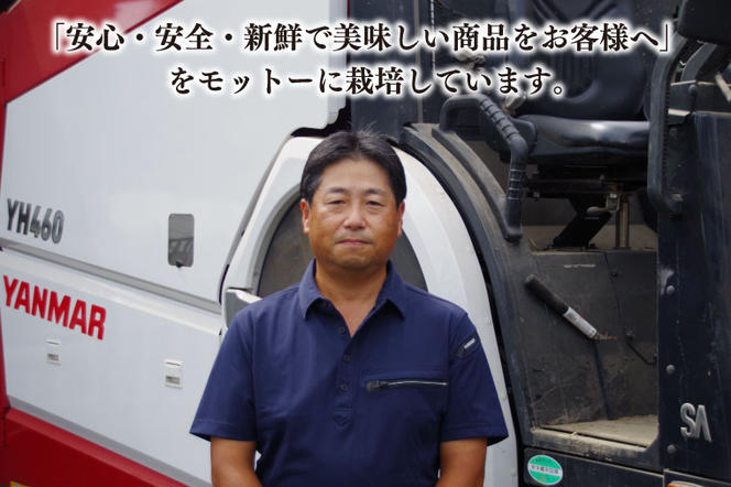 【令和6年産新米】コシヒカリ　5kg【新米　有機栽培　安心　美味しい　おにぎり　12000円以下】(BD102)