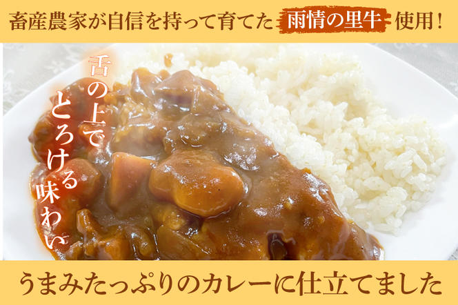 BL002　ひたち舞（コシヒカリ精米）・雨情の里牛カレーセット