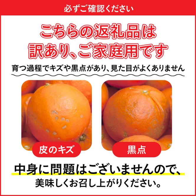 ZH7014_＜4月より発送＞家庭用 セミノールオレンジ3kg+90g（傷み補償分）（有田産）（訳あり）