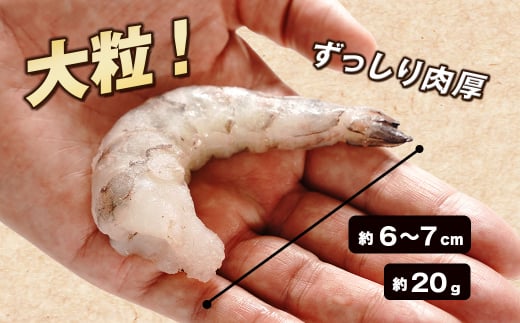 至福の大粒むきえび　背ワタ処理済 3kg（1kg×3袋）　　[むきえび ムキエビ むきえび ブラックタイガー ムキエビ むきえび 大粒 ムキエビ むきえび 大型 ムキエビ むきえび ムキエビ むきえび ムキエビ むきえび ムキエビ むきえび ムキエビ むきえび ムキエビ むきえび ムキエビ むきえび ムキエビ むきえび ムキエビ]