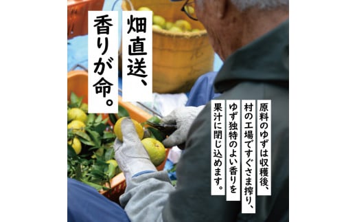 ゆず入りはちみつ 220g×6本 選べる本数 ゆず 柚子 はちみつ 有機 オーガニック ギフト お歳暮 お中元 贈答用 のし 熨斗 産地直送 送料無料 高知県 馬路村【643】