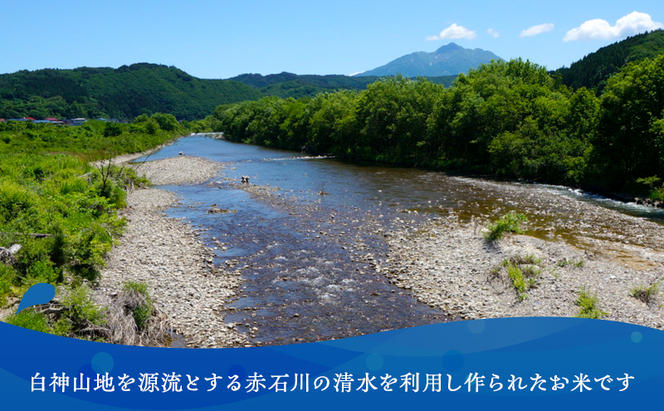 米 令和6年産 まっしぐら 玄米 5kg 1袋 こめ お米 おこめ コメ ご飯 ごはん 令和6年 山下農園 青森 青森県