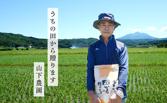 米 令和6年産 まっしぐら 玄米 5kg 1袋 こめ お米 おこめ コメ ご飯 ごはん 令和6年 山下農園 青森 青森県