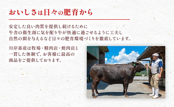 【最短7日以内発送】 神戸ビーフ 神戸牛 牝 上カルビ 焼肉 300g 川岸畜産 冷凍 肉 牛肉 すぐ届く