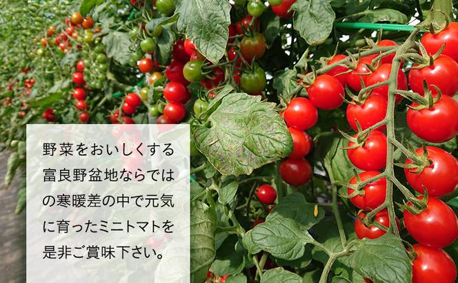 2025年発送◆3ヵ月定期便◆北海道 富良野市産 完熟ミニトマト 甘っこ キャロル アスパラ 紫 朝どり 露地 グリーン 野菜 新鮮 数量限定【藏ファーム】