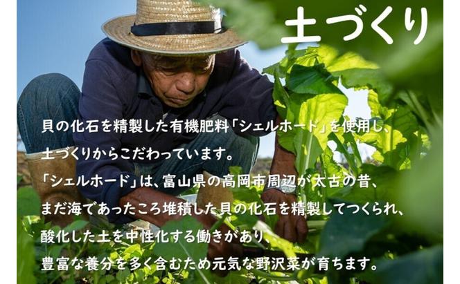 信州産ながいも入り野沢菜昆布3個セット