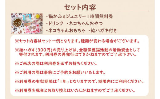 鹿嶋市の癒しの空間　猫カフェでまったり　猫かふぇジュエリー　１時間利用券セット　２名様 （KCS-2）