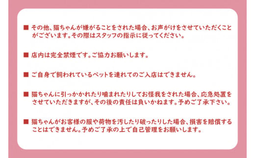 鹿嶋市の癒しの空間　猫カフェでまったり　猫かふぇジュエリー　１時間利用券セット　２名様 （KCS-2）