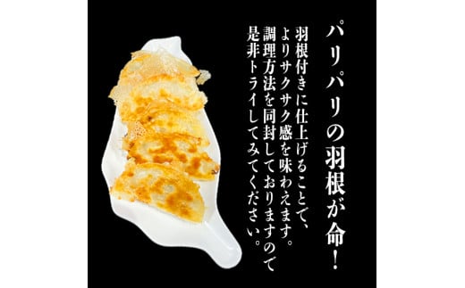 手作り餃子の劉さん　手作り餃子20個入り　１袋　鹿嶋市　ぎょうざ　ギョウザ　人気   茨城県産 冷凍 送料無料（KBO-2）