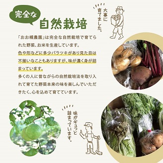 【11月～常温】百笑オーガニック野菜セット（8～10品目）（KAG-1）