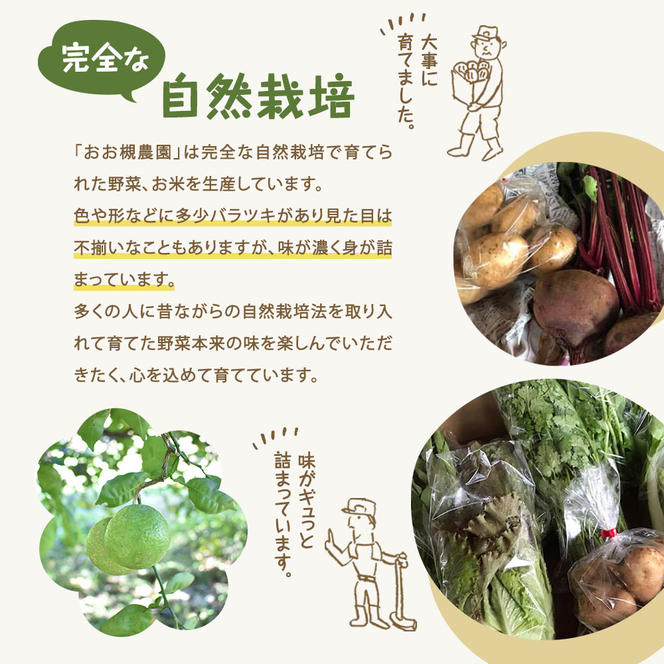 【3ヶ月定期便】百笑オーガニック野菜セット（8～10品目）（KAG-2）