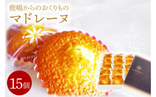 【お中元】鹿嶋からのおくりものマドレーヌ　スイーツ　デザート　焼き菓子　送料無料（KD-15）