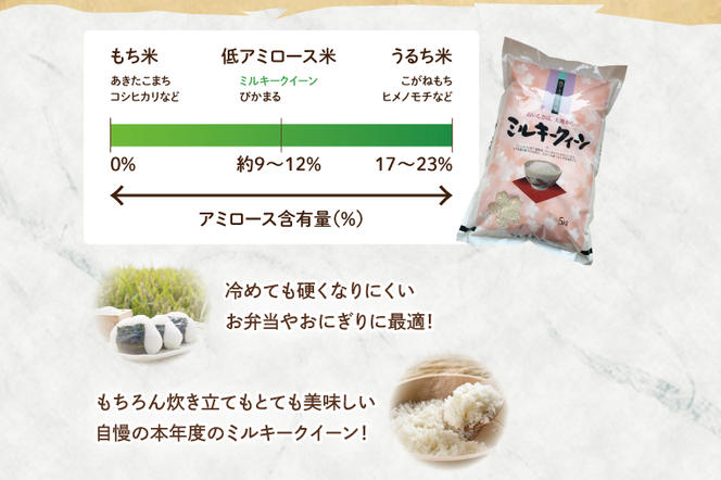 【新米先行予約】【令和6年産】鹿嶋市産ミルキークイーン 10kg(5kg×2袋)【お米 米 鹿嶋市 茨城県 白米 新米 おにぎり ごはん 30000円以内 3万円以内】(KBS-9）