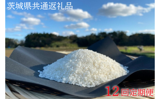 【12ヶ月定期便】【栽培期間農薬不使用】マキタ超こしひかり 白米5kg×12回【茨城県共通返礼品・行方市産】【おいしい お米 マキタ 減農薬 安心  鹿嶋市】（KBE-53）