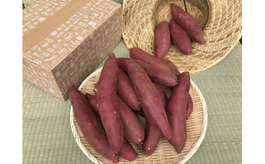 焼き芋好きのためのさつま芋　紅はるか5kg【茨城県共通返礼品・行方市産】（KBE-58）