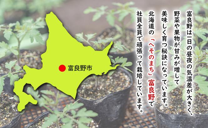 【2024年夏発送】ふらの ミニトマト 1kg（品種：ラブリーさくら）北海道 富良野市 野菜 新鮮 直送 トマト 道産 ふらの 送料無料 数量限定 先着順