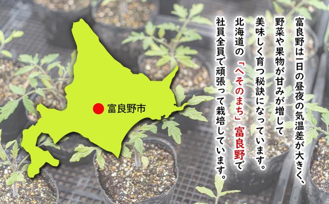 【2025年夏発送】ふらの ミニトマト 食べ比べ 各1kg×2種 計2kg（品種：ほれまる＆ラブリーさくら）北海道 富良野市 野菜 新鮮 直送 トマト 道産 ふらの 送料無料 数量限定 先着順