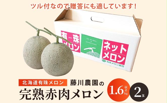 北海道産 有珠メロン 2玉 セット 赤肉 Lサイズ 1.6kg以上×2玉 ツル付き レッドルピア 果物 めろん フルーツ くだもの 完熟 旬 ご褒美 ギフト お祝い 産地直送 お取り寄せ 北海道 藤川農園 送料無料 伊達