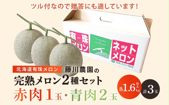 北海道産 有珠メロン 3玉 セット Lサイズ 1.6kg以上 赤肉×1 青肉×2 計3玉 食べ比べ ツル付き 果物 めろん フルーツ くだもの 完熟 旬 ご褒美 ギフト 産地直送 お取り寄せ 北海道 藤川農園 送料無料 伊達