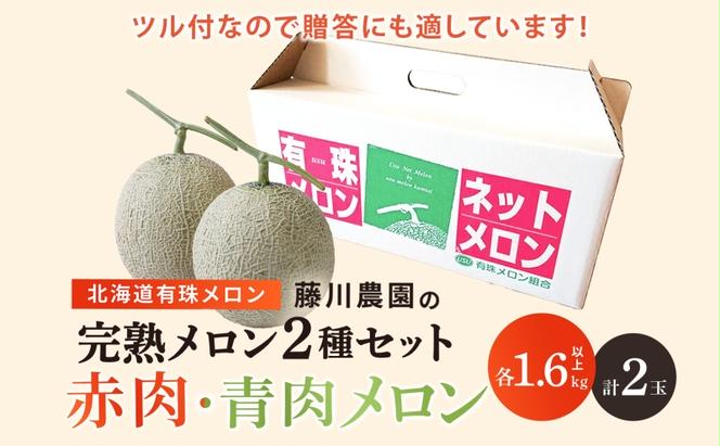 北海道産 有珠メロン 2玉 セット 赤肉 青肉 Lサイズ 1.6kg以上 各1玉 食べ比べ ツル付き 果物 めろん フルーツ くだもの 完熟 旬 ご褒美 ギフト お祝い 産地直送 お取り寄せ 北海道 藤川農園 送料無料 伊達