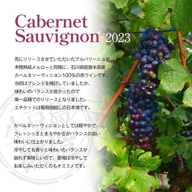 【ワイングラスセット】小豆島醸造 木樽熟成 カベルネソーヴィニヨン 2023年 720ml×1本&ブルゴーニュ型ワイングラス2脚